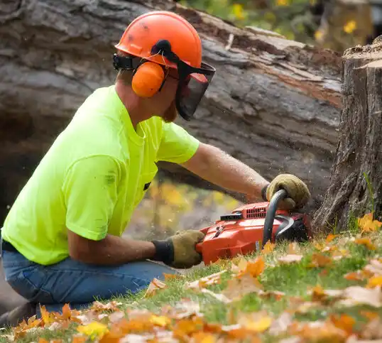 tree services Hermann